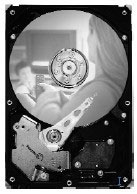 Seagate Barracuda 7200.10 160GB SATA 3Gb/s NCQ (ST3160815AS)